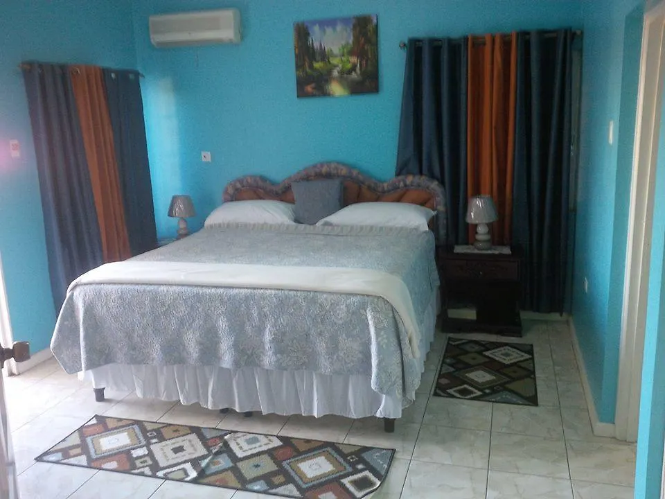 מונטגו ביי Pinnacle View Estate Micaila Villa  מונטגו ביי