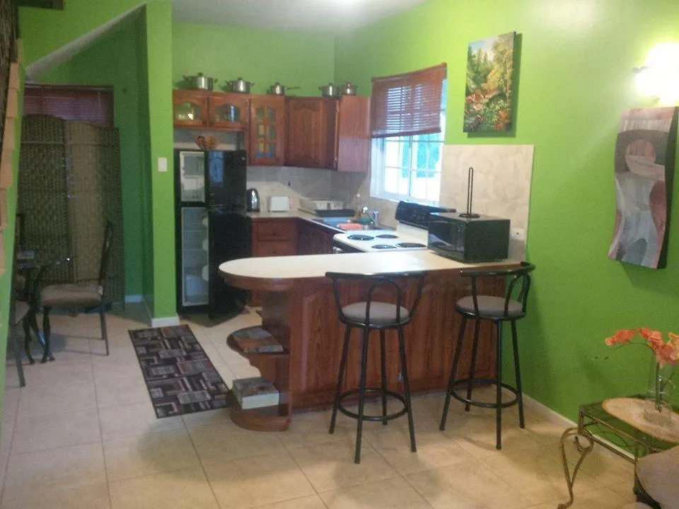 מונטגו ביי Pinnacle View Estate Micaila Villa מונטגו ביי