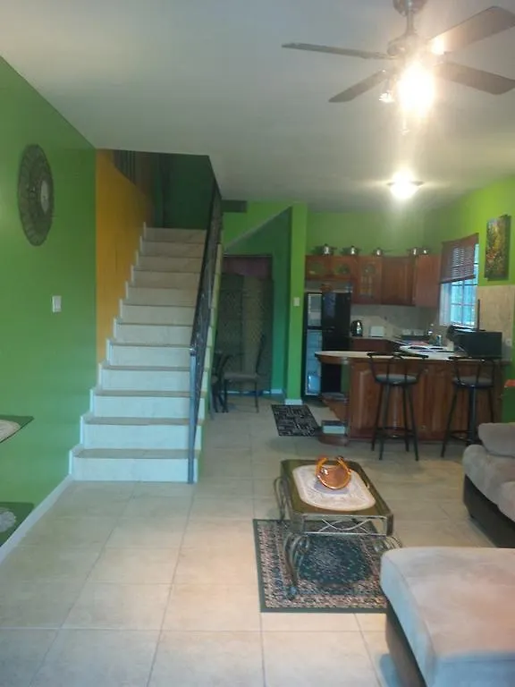 מונטגו ביי Pinnacle View Estate Micaila Villa ג'מייקה